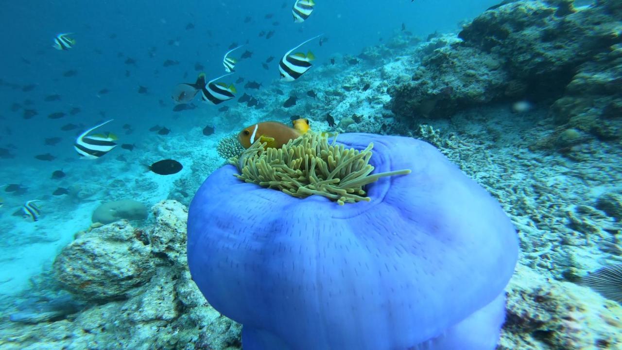 Dhangethi Inn Екстериор снимка