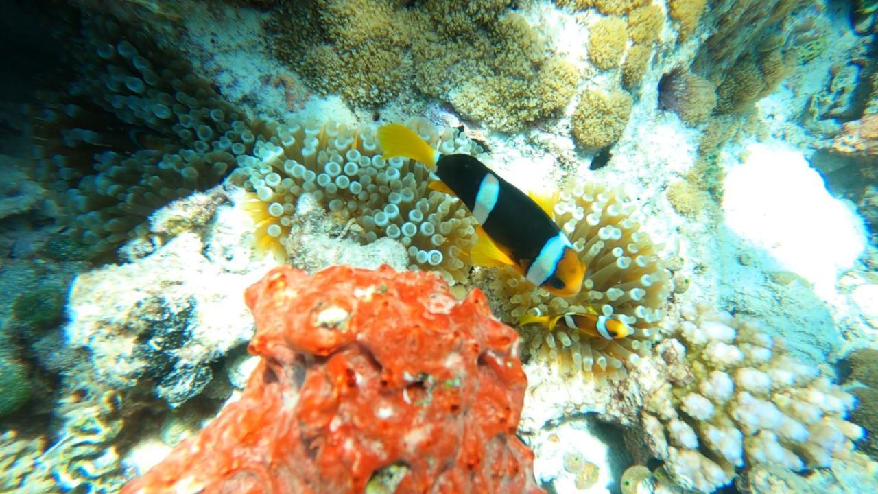 Dhangethi Inn Екстериор снимка